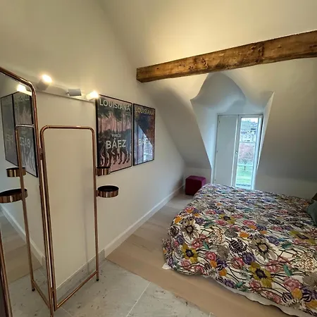 Historic Charm Penthouse Apartment *