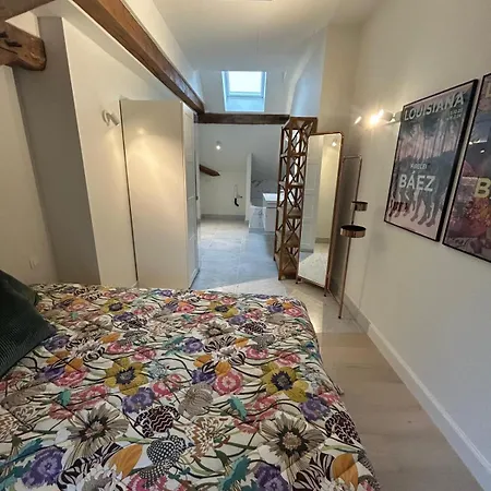 Historic Charm Penthouse * Левен