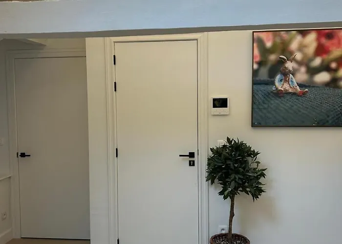 Apartment Historic Charm Penthouse Leuven