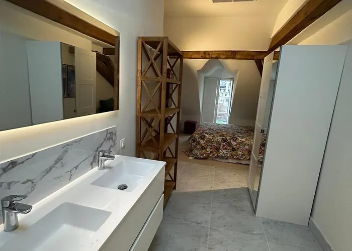 Historic Charm Penthouse Leuven